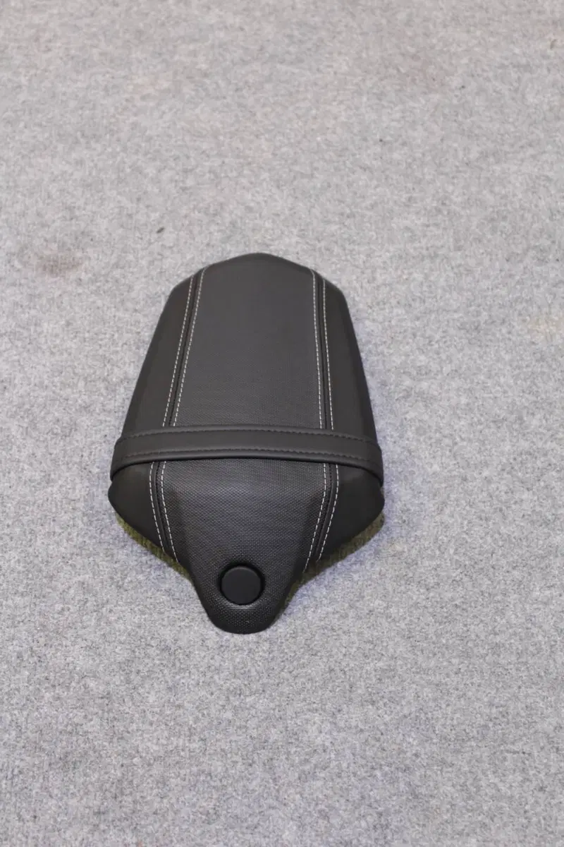 Triumph Speed Triple 1200 RS (2021 - 24) (18)