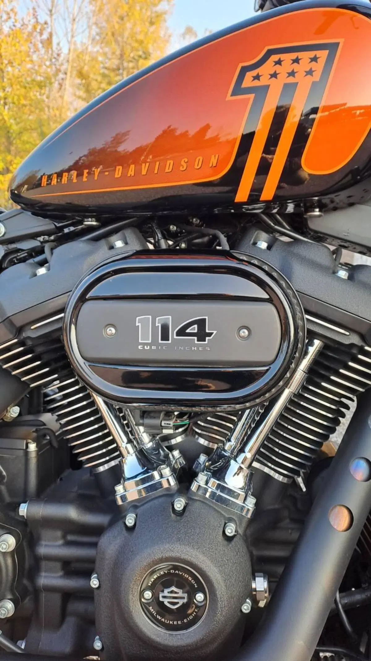 Harley-Davidson Street Bob 114 (2021 - 24) (4)