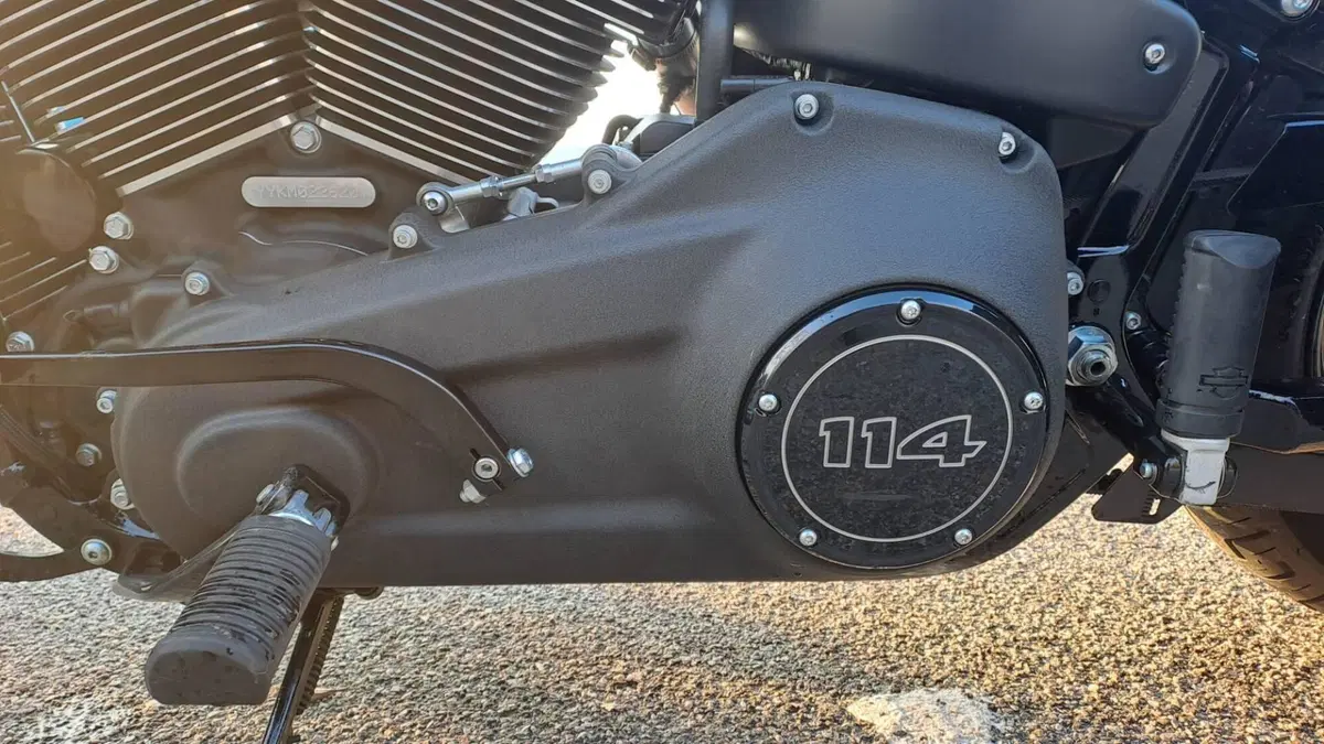 Harley-Davidson Street Bob 114 (2021 - 24) (6)