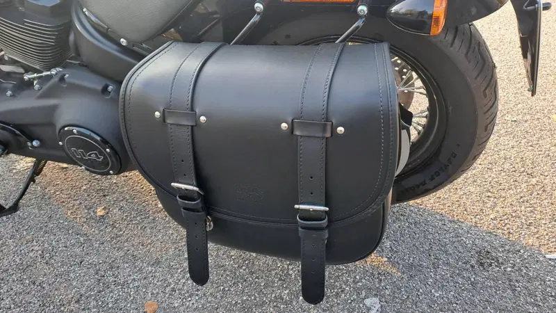 Harley-Davidson Street Bob 114 (2021 - 24) (7)