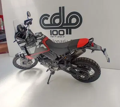 Ducati DesertX (2022 - 25) usata