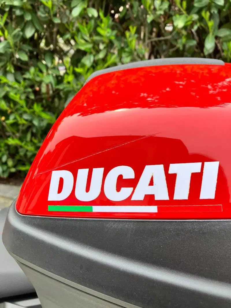 Ducati Multistrada 950 S (2021) (8)