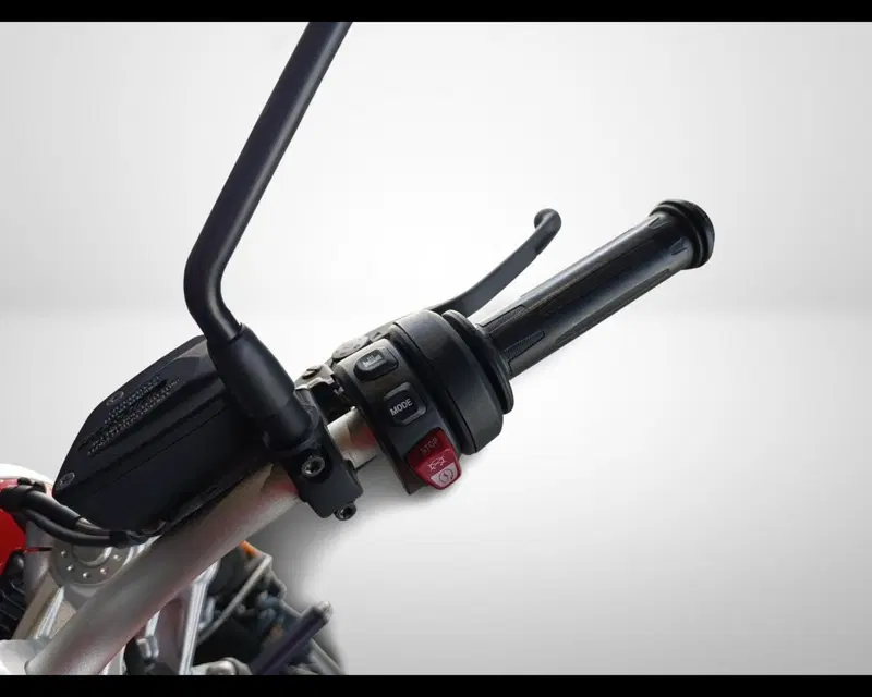 Bmw R nineT Scrambler (2021 - 24) (11)