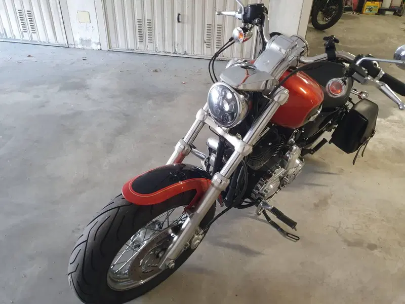 Harley-Davidson 1200 Custom (2007 - 13) - XL 1200C (6)