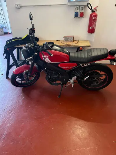 Yamaha XSR 125 (2021 - 24) usata