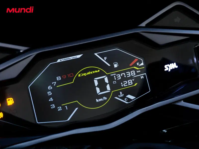 Sym Cruisym 300 (2017 - 20) (12)
