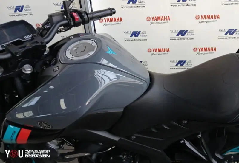 Yamaha MT-125 (2021 - 24) (4)
