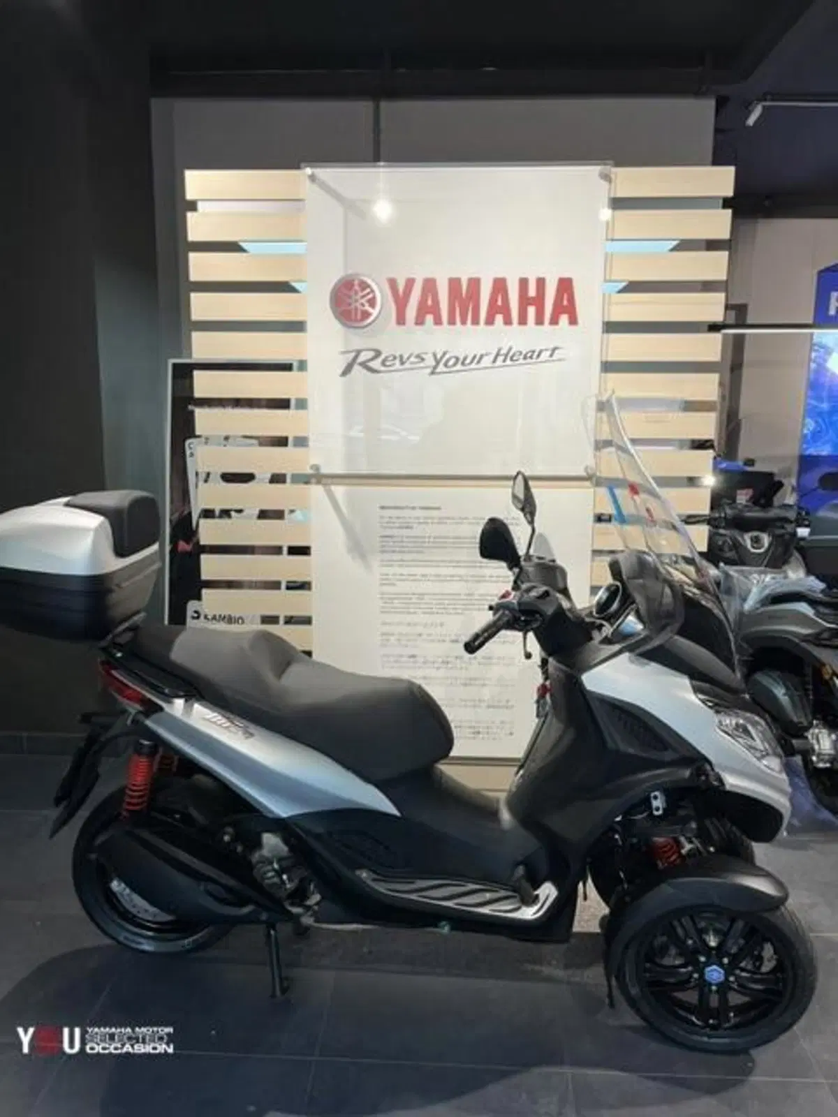 Piaggio MP3 300 ABS Hpe (2021 - 24) (3)
