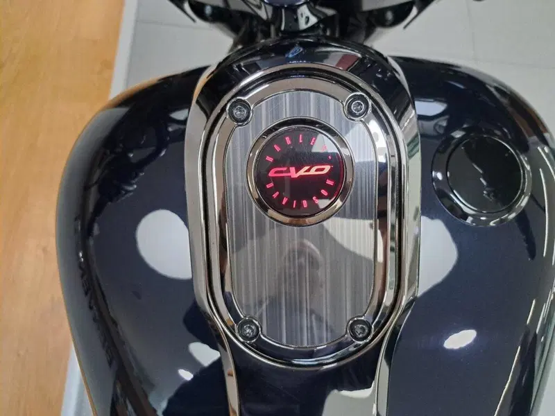 Harley-Davidson 117 Street Glide (2021) - FLHXSE (10)