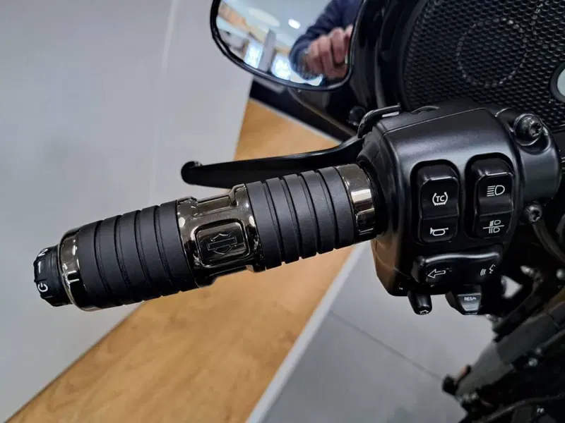 Harley-Davidson 117 Street Glide (2021) - FLHXSE (7)