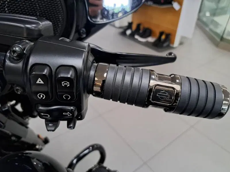 Harley-Davidson 117 Street Glide (2021) - FLHXSE (8)