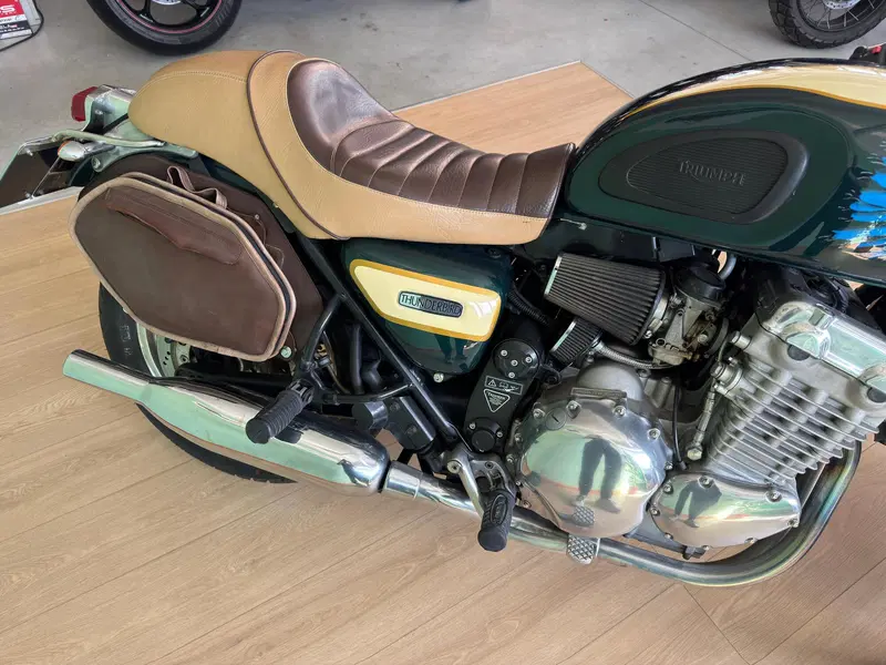 Triumph Thunderbird 900 (1995 - 01) (9)