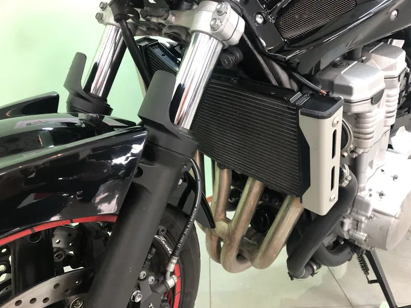 Suzuki GSF 650 Bandit (2006 - 11) (6)