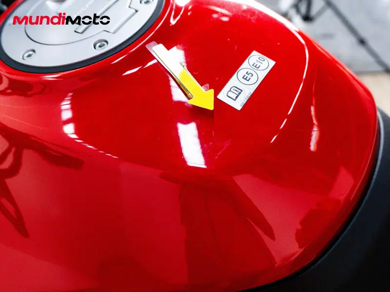 Ducati Multistrada 950 (2021) (15)