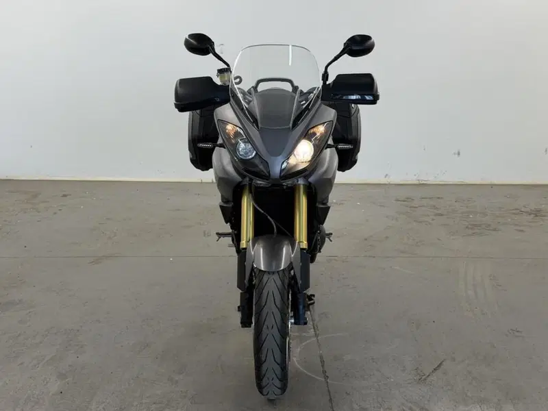 Triumph Tiger 1050 SE ABS (2006 - 13) (5)