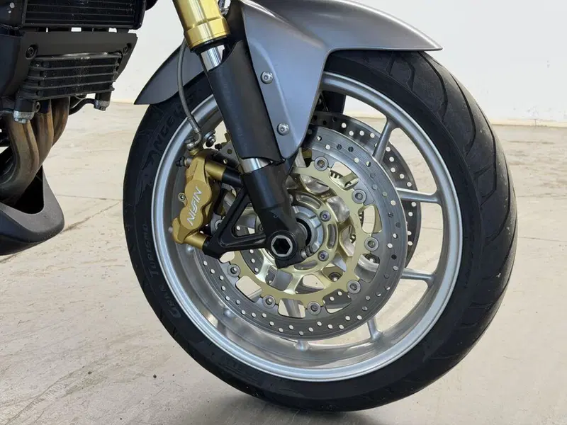 Triumph Tiger 1050 SE ABS (2006 - 13) (13)