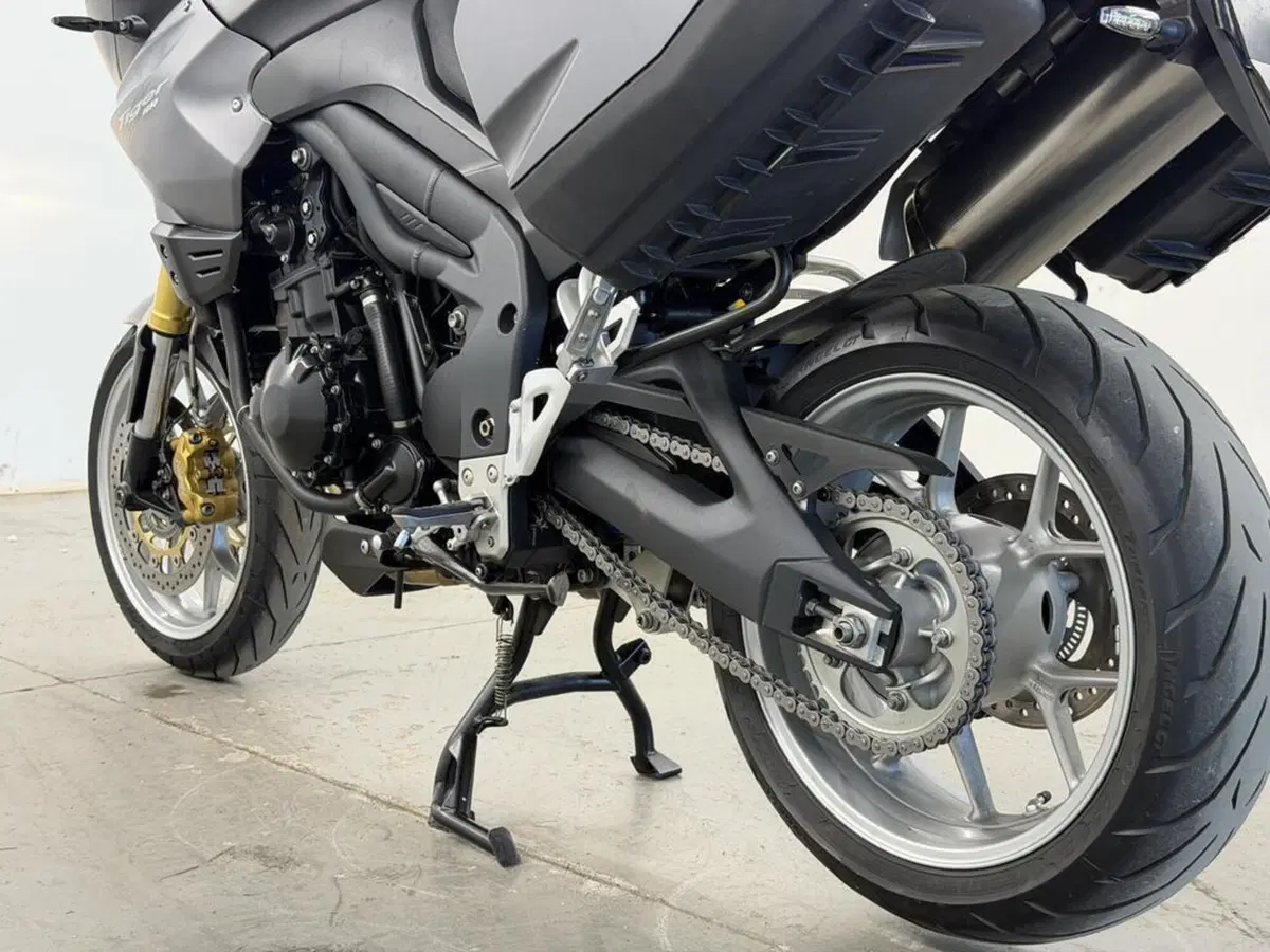 Triumph Tiger 1050 SE ABS (2006 - 13) (8)
