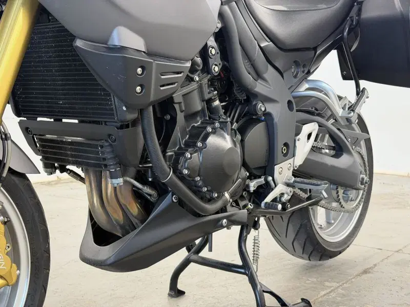 Triumph Tiger 1050 SE ABS (2006 - 13) (12)