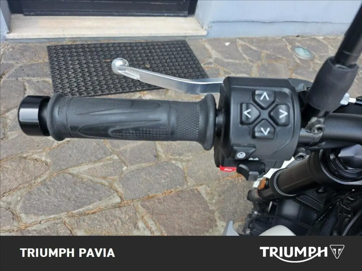 Triumph Trident 660 (2021 - 24) (24)