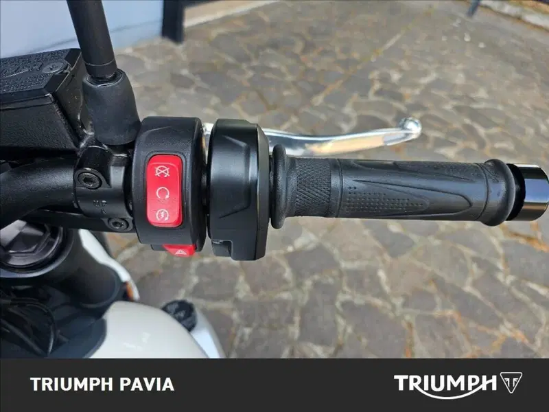 Triumph Trident 660 (2021 - 24) (25)