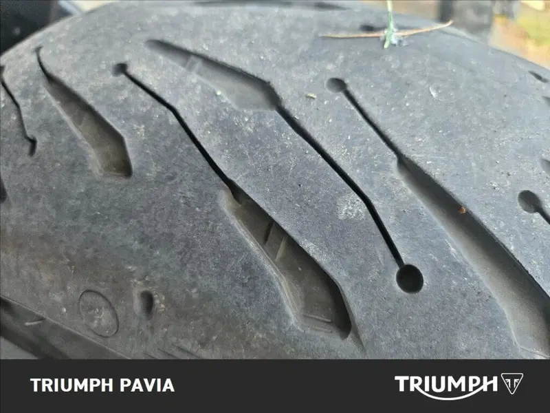 Triumph Trident 660 (2021 - 24) (10)