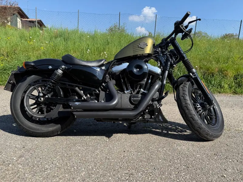 Harley-Davidson 1200 Forty-Eight (2016 - 20) (2)