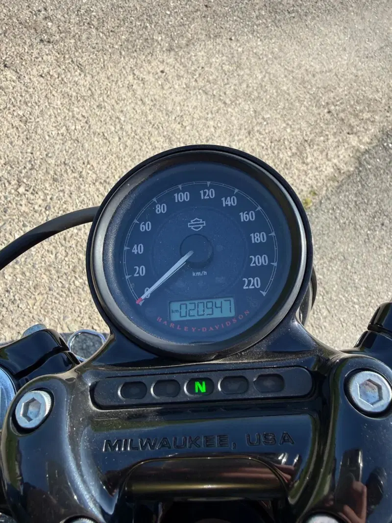 Harley-Davidson 1200 Forty-Eight (2016 - 20) (6)