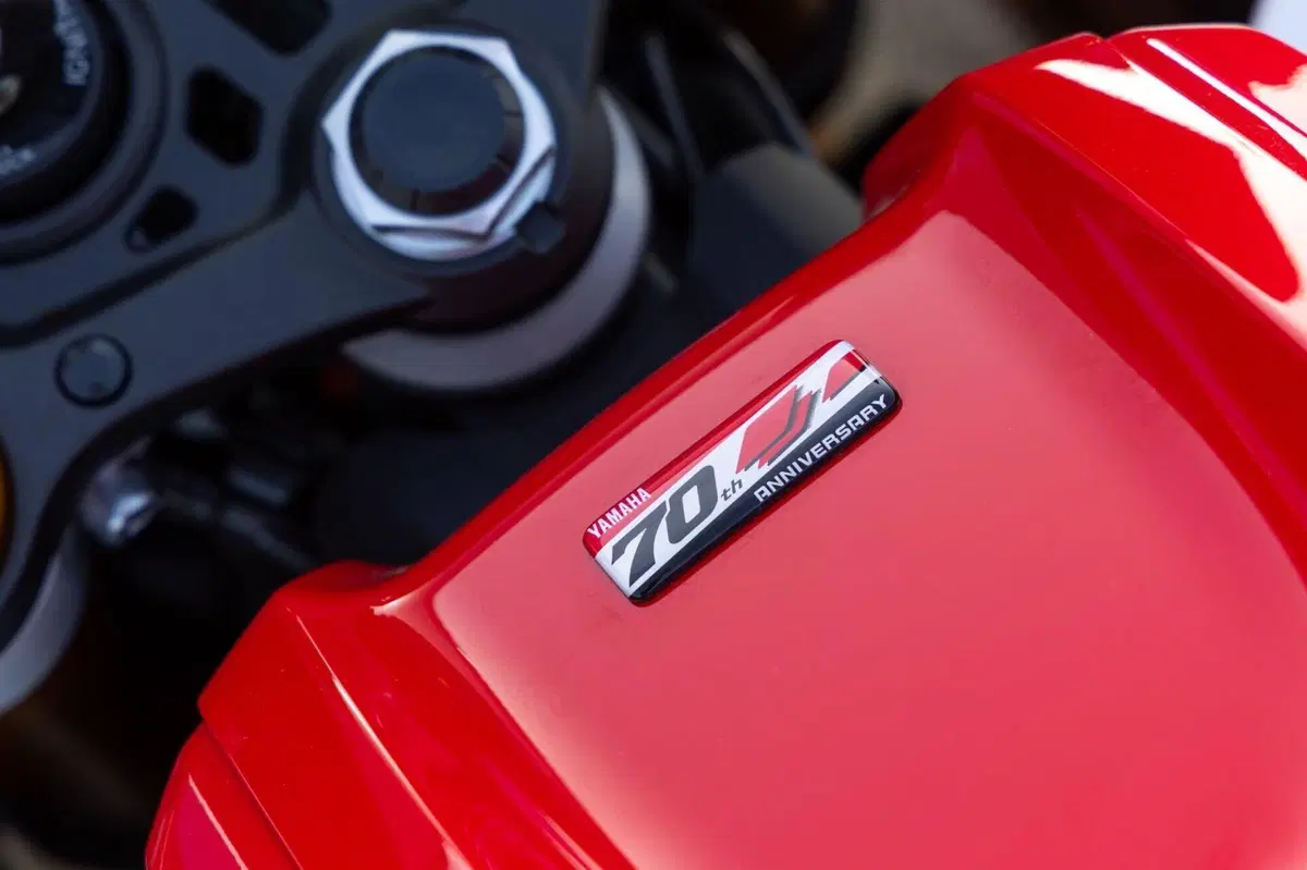 Yamaha YZF R7 (18)