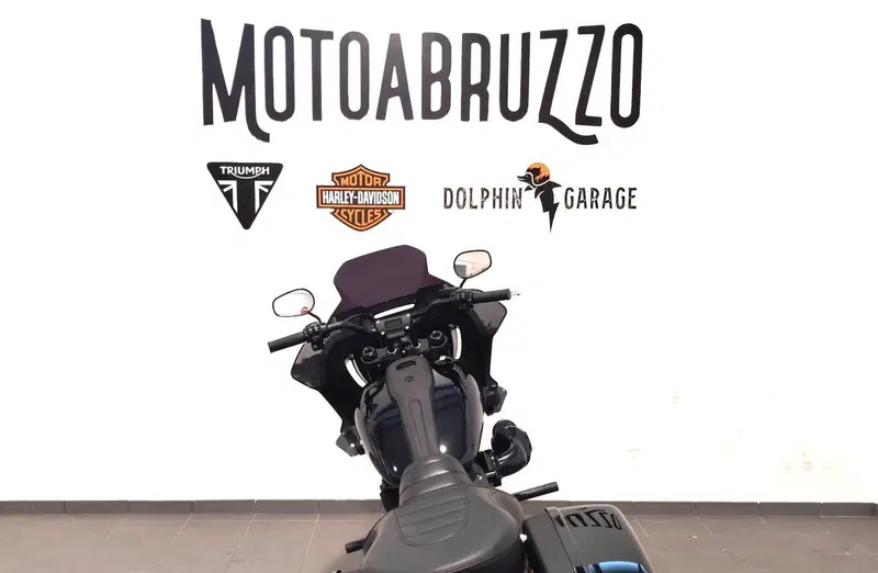 Harley-Davidson Low Rider ST (2022 - 24) (12)