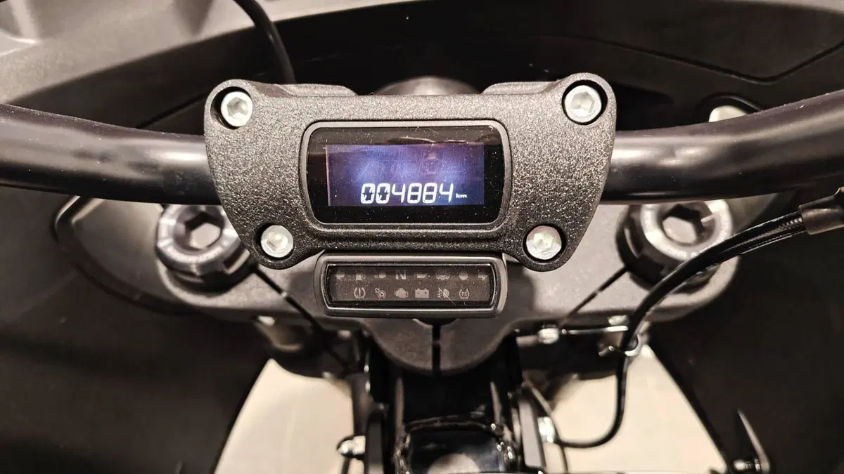 Harley-Davidson Low Rider ST (2022 - 24) (14)