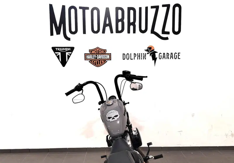 Harley-Davidson 1200 Forty-Eight (2016 - 20) (12)