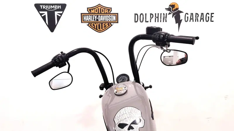 Harley-Davidson 1200 Forty-Eight (2016 - 20) (13)