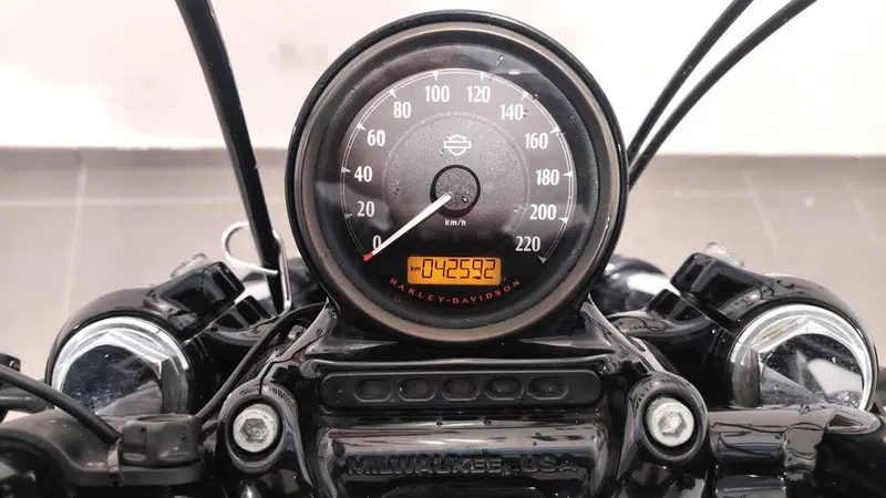 Harley-Davidson 1200 Forty-Eight (2016 - 20) (14)