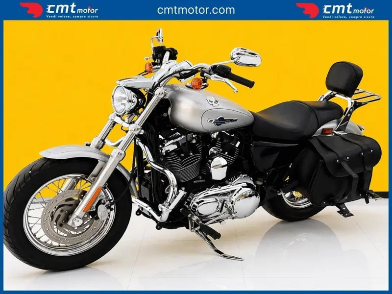 Harley-Davidson 1200 Custom (2007 - 13) - XL 1200C (4)