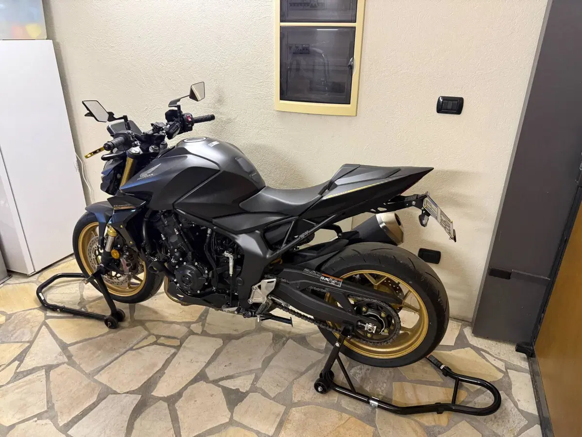 Honda CB 1000 Hornet SP (2025 - 26) (2)