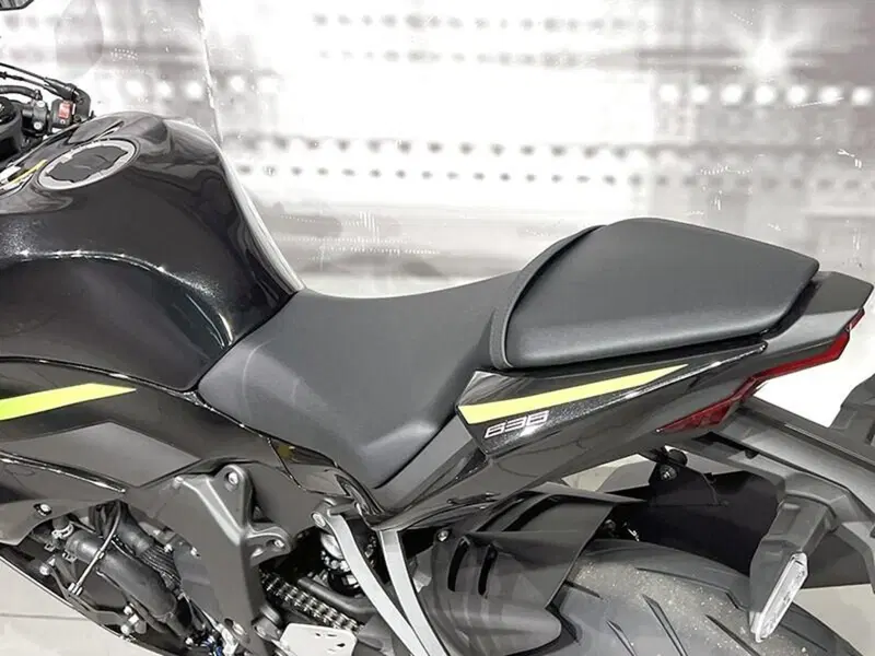 Kawasaki Ninja 125 (2025 - 26) (4)