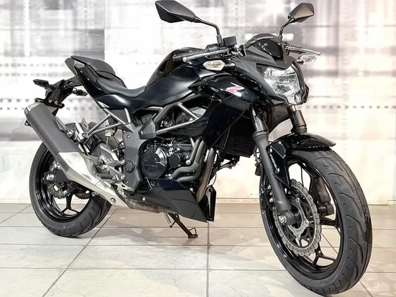 Kawasaki Z 250 SL ABS (2015 - 16)