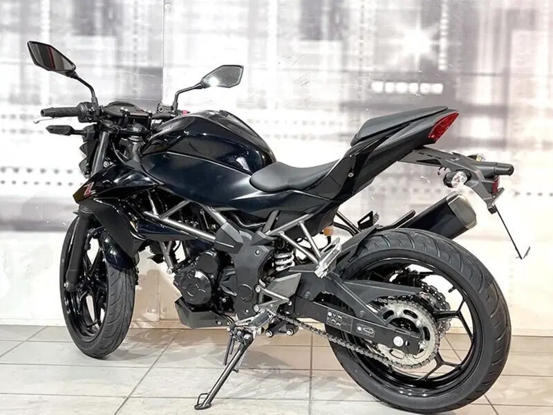 Kawasaki Z 250 SL ABS (2015 - 16) (2)