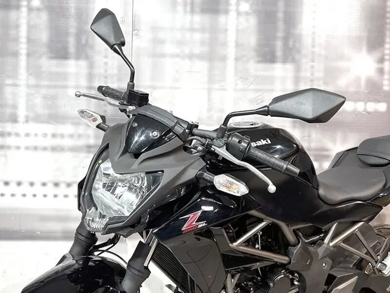 Kawasaki Z 250 SL ABS (2015 - 16) (5)