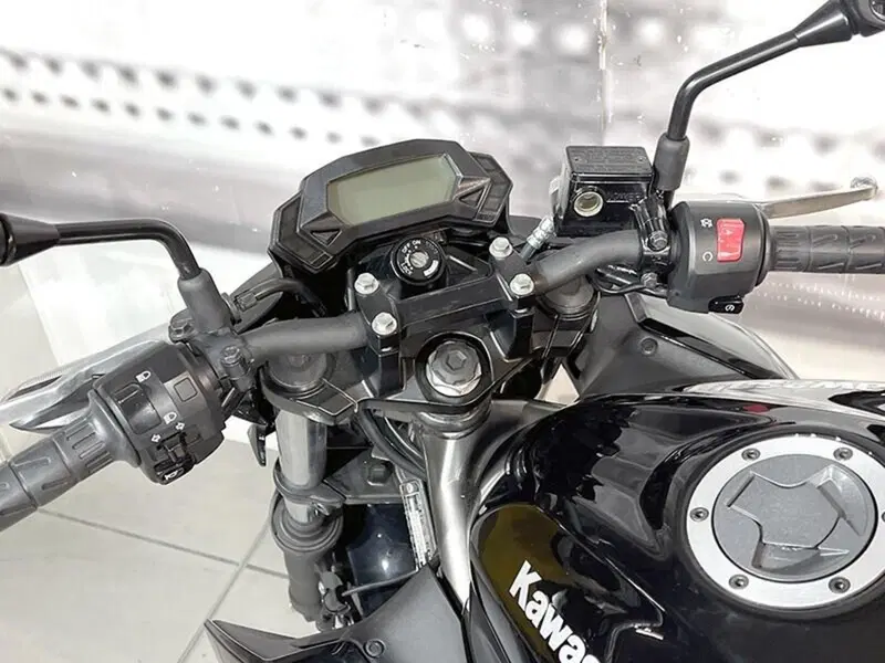 Kawasaki Z 250 SL ABS (2015 - 16) (6)