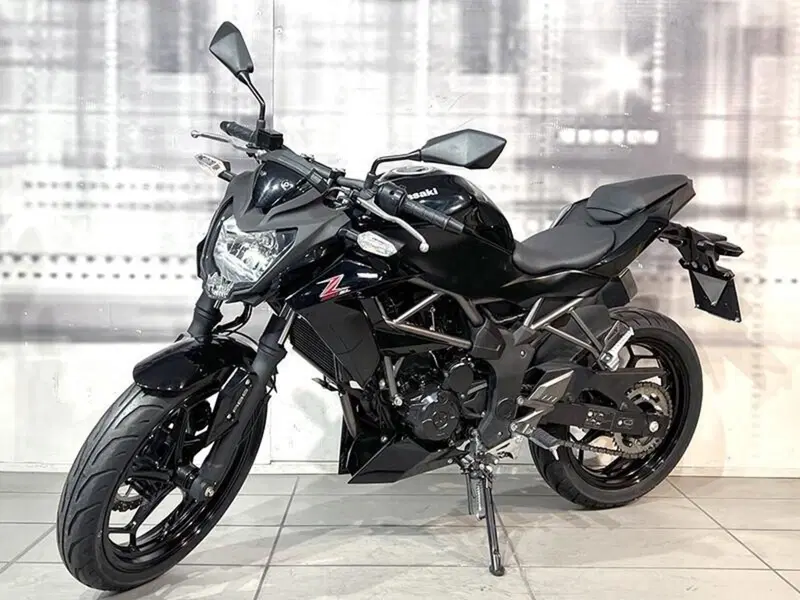 Kawasaki Z 250 SL ABS (2015 - 16) (7)