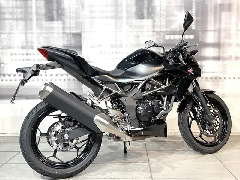 Kawasaki Z 250 SL ABS (2015 - 16) (8)