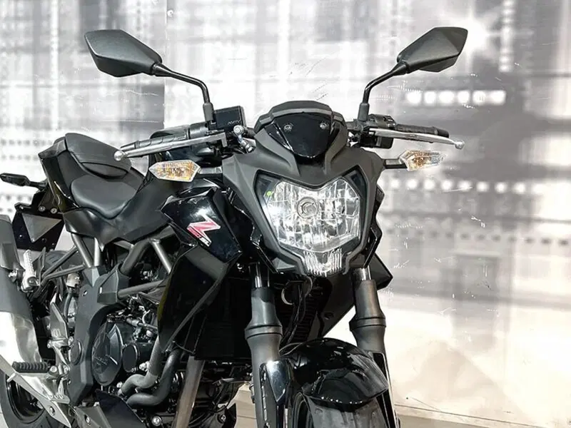 Kawasaki Z 250 SL ABS (2015 - 16) (9)