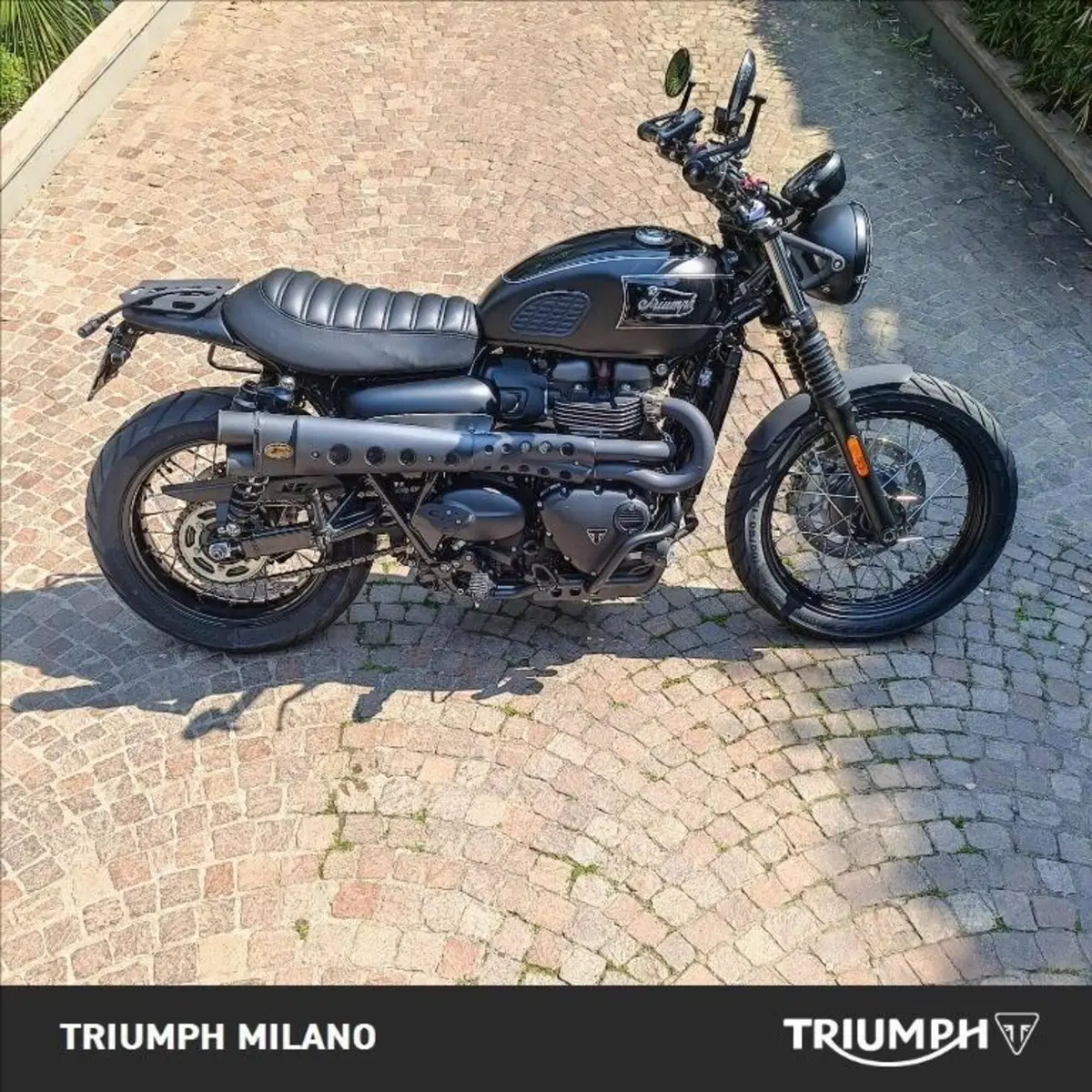 Triumph Street Scrambler 900 (2021 - 22)
