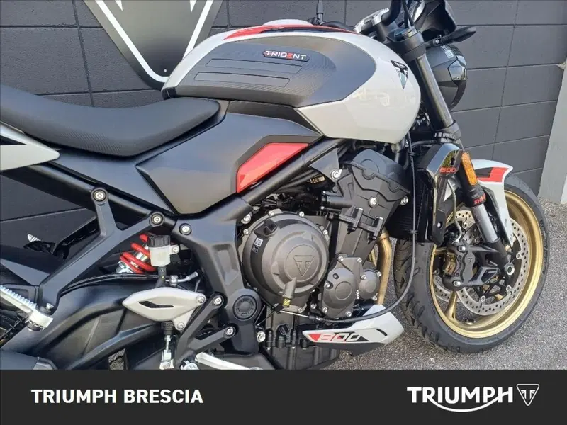 Triumph Trident 800 (2026) (4)