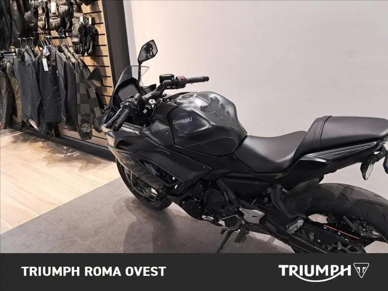 Kawasaki Ninja 650 (2025 - 26) (9)