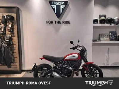 Ducati Scrambler 800 Icon (2021 - 22) usata