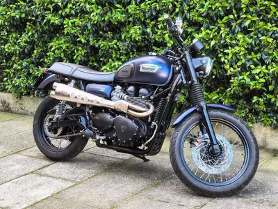 Triumph Scrambler (2006 - 17) usata