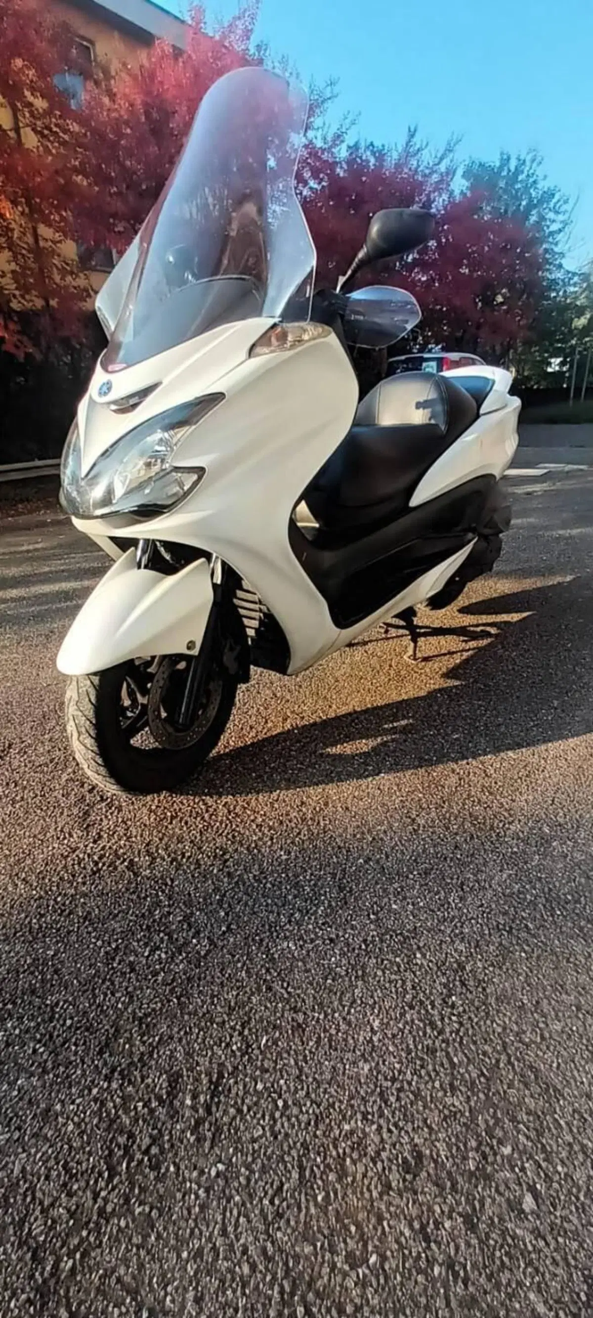 Yamaha Majesty 400 (2004 - 08) (2)