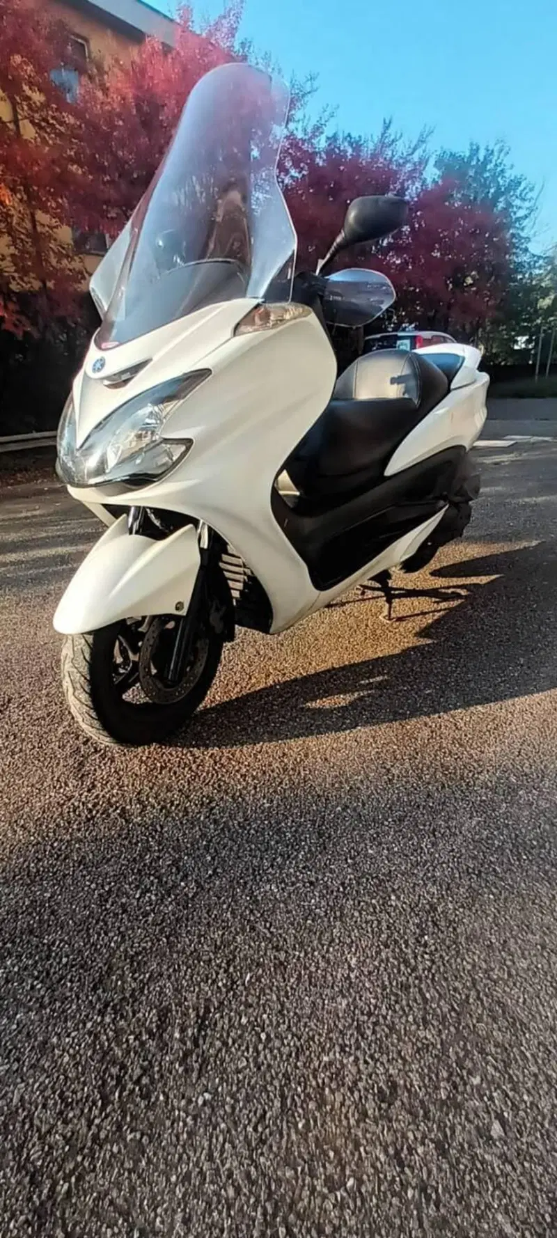 Yamaha Majesty 400 (2004 - 08) (2)